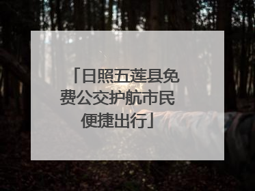 日照五莲县免费公交护航市民便捷出行