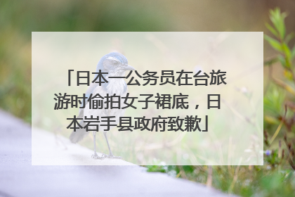 日本一公务员在台旅游时偷拍女子裙底，日本岩手县政府致歉