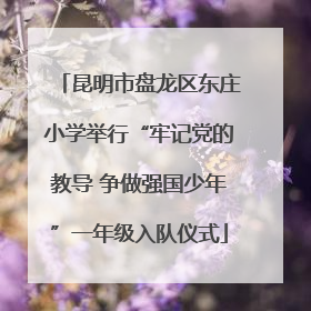 昆明市盘龙区东庄小学举行“牢记党的教导 争做强国少年”一年级入队仪式