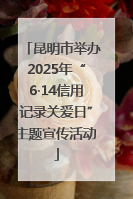 昆明市举办2025年“6·14信用记录关爱日”主题宣传活动