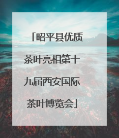 昭平县优质茶叶亮相第十九届西安国际茶叶博览会
