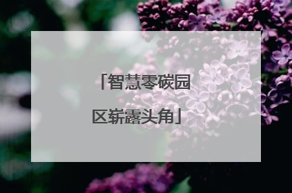 智慧零碳园区崭露头角
