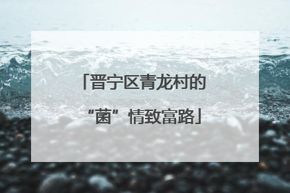晋宁区青龙村的“菌”情致富路