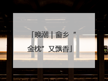 晚潮｜畲乡“金枕”又飘香