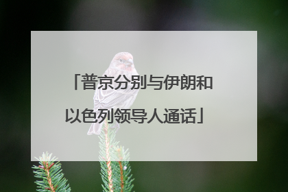 普京分别与伊朗和以色列领导人通话
