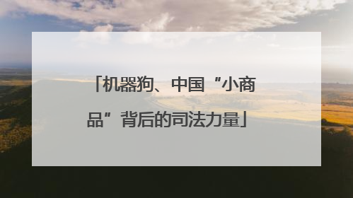 机器狗、中国“小商品”背后的司法力量