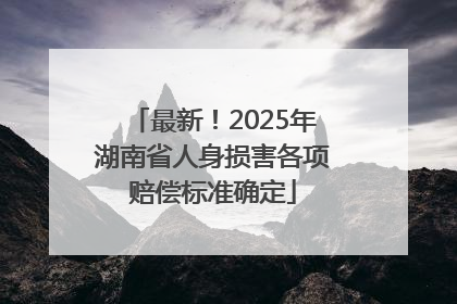 最新！2025年湖南省人身损害各项赔偿标准确定