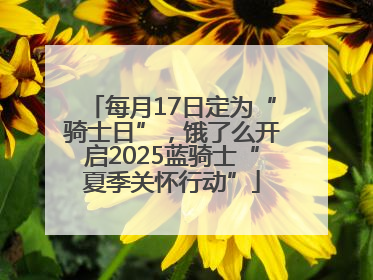 每月17日定为“骑士日”，饿了么开启2025蓝骑士“夏季关怀行动”