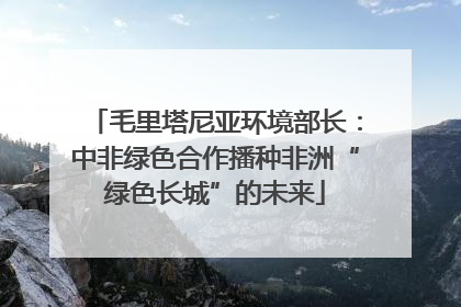 毛里塔尼亚环境部长：中非绿色合作播种非洲“绿色长城”的未来