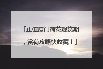 正值厦门荷花观赏期，赏荷攻略快收藏！