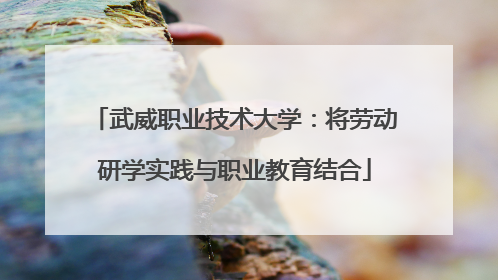 武威职业技术大学：将劳动研学实践与职业教育结合