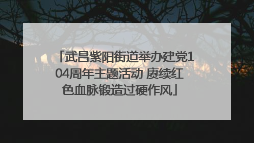 武昌紫阳街道举办建党104周年主题活动 赓续红色血脉锻造过硬作风