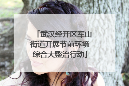 武汉经开区军山街道开展节前环境综合大整治行动