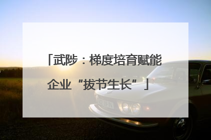武陟：梯度培育赋能企业“拔节生长”