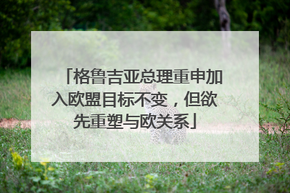 格鲁吉亚总理重申加入欧盟目标不变，但欲先重塑与欧关系