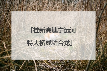 桂新高速宁远河特大桥成功合龙