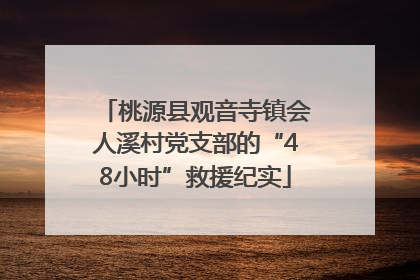 桃源县观音寺镇会人溪村党支部的“48小时”救援纪实