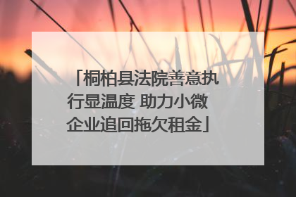桐柏县法院善意执行显温度 助力小微企业追回拖欠租金