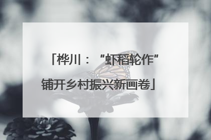 桦川：“虾稻轮作”铺开乡村振兴新画卷