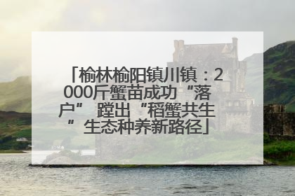 榆林榆阳镇川镇：2000斤蟹苗成功“落户” 蹚出“稻蟹共生”生态种养新路径