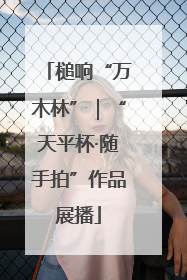 槌响“万木林”｜“天平杯·随手拍”作品展播