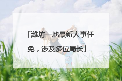 潍坊一地最新人事任免，涉及多位局长