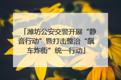 潍坊公安交警开展“静音行动”暨打击整治“飙车炸街”统一行动