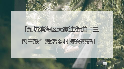 潍坊滨海区大家洼街道“三包三联”激活乡村振兴密码