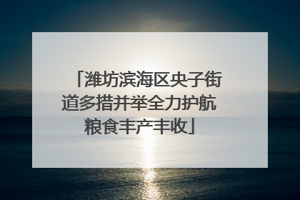 潍坊滨海区央子街道多措并举全力护航粮食丰产丰收
