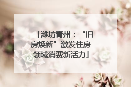 潍坊青州：“旧房焕新”激发住房领域消费新活力