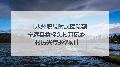 永州职院附属医院到宁远县桑梓头村开展乡村振兴专题调研