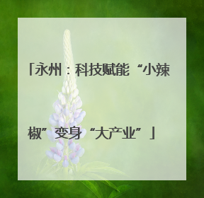 永州：科技赋能“小辣椒”变身“大产业”
