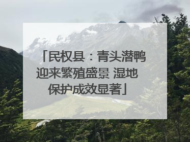 民权县：青头潜鸭迎来繁殖盛景 湿地保护成效显著
