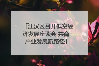 江汉区召开低空经济发展座谈会 共商产业发展新路径