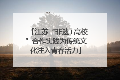 江苏“非遗+高校”合作实践为传统文化注入青春活力