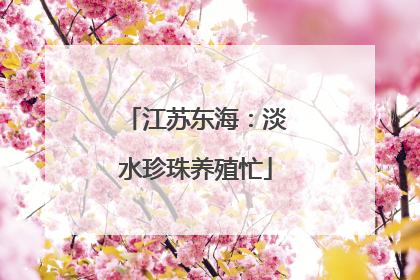 江苏东海：淡水珍珠养殖忙