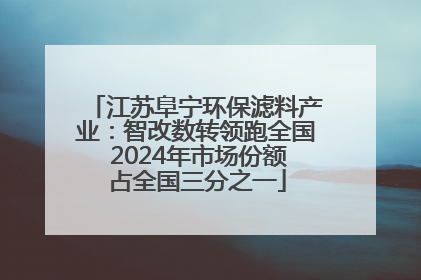 江苏阜宁环保滤料产业：智改数转领跑全国 2024年市场份额占全国三分之一