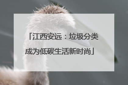 江西安远：垃圾分类成为低碳生活新时尚