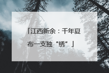 江西新余：千年夏布一支独“绣”