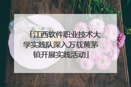 江西软件职业技术大学实践队深入万载黄茅镇开展实践活动