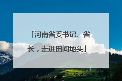 河南省委书记、省长，走进田间地头