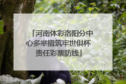河南体彩洛阳分中心多举措筑牢世俱杯责任彩票防线