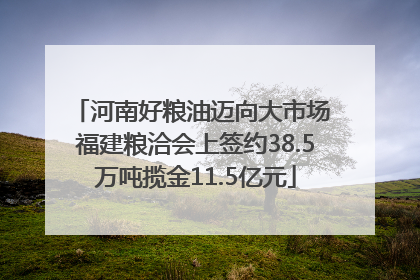 河南好粮油迈向大市场 福建粮洽会上签约38.5万吨揽金11.5亿元