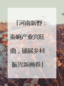 河南新野：奏响产业兴旺曲，铺展乡村振兴新画卷