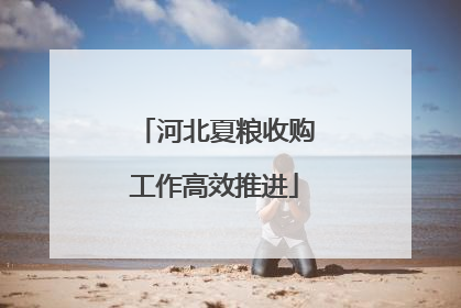 河北夏粮收购工作高效推进