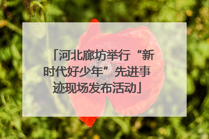 河北廊坊举行“新时代好少年”先进事迹现场发布活动