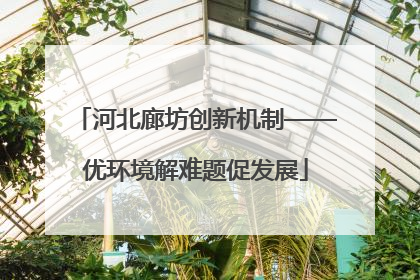 河北廊坊创新机制——优环境解难题促发展