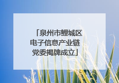 泉州市鲤城区电子信息产业链党委揭牌成立