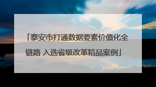 泰安市打通数据要素价值化全链路 入选省级改革精品案例