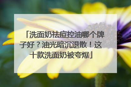 洗面奶祛痘控油哪个牌子好？油光暗沉退散！这十款洗面奶被夸爆